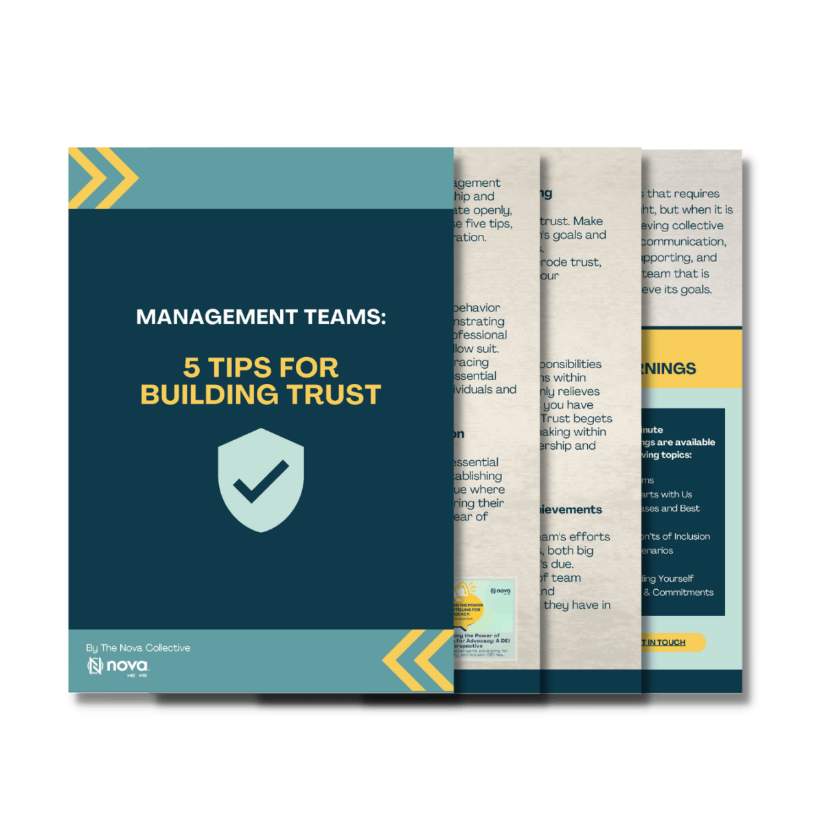 Graphics 5 Tips for Building Trust (2)