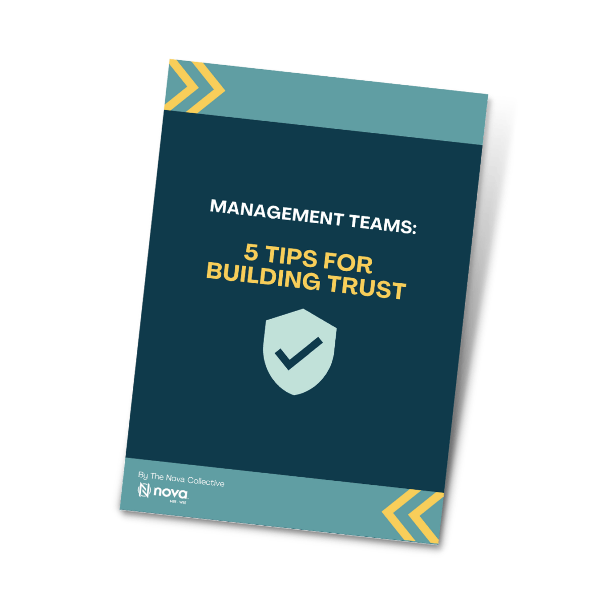 Graphics 5 Tips for Building Trust