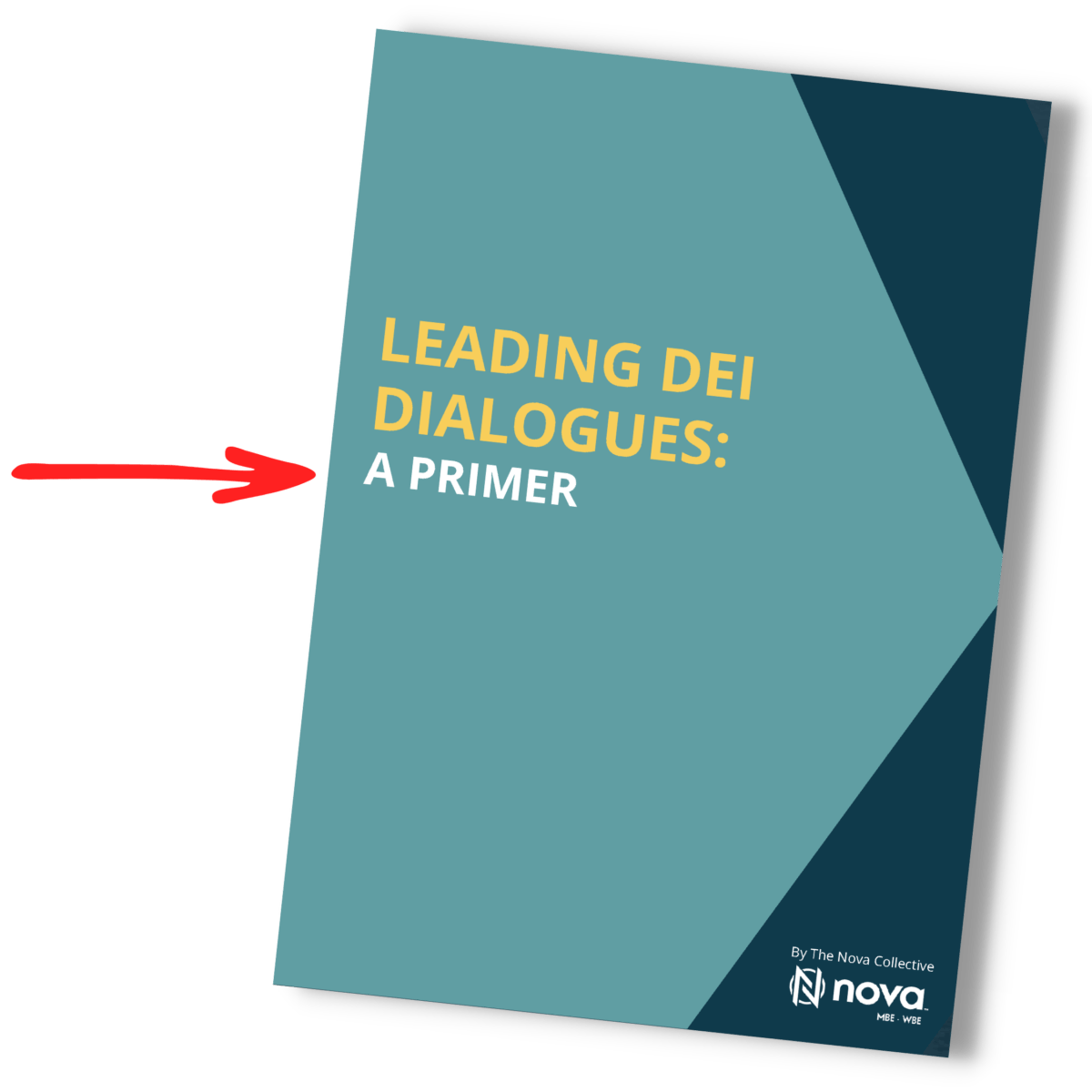 Leading DEI Dialogues A Primer By The Nova Collective 4
